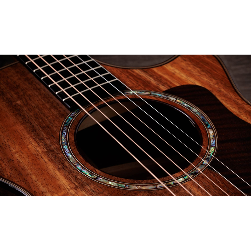 Taylor 722ce,Koa/Koa,Gloss