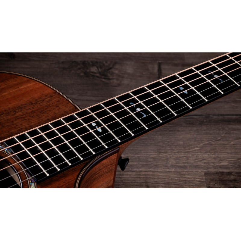 Taylor 722ce,Koa/Koa,Gloss