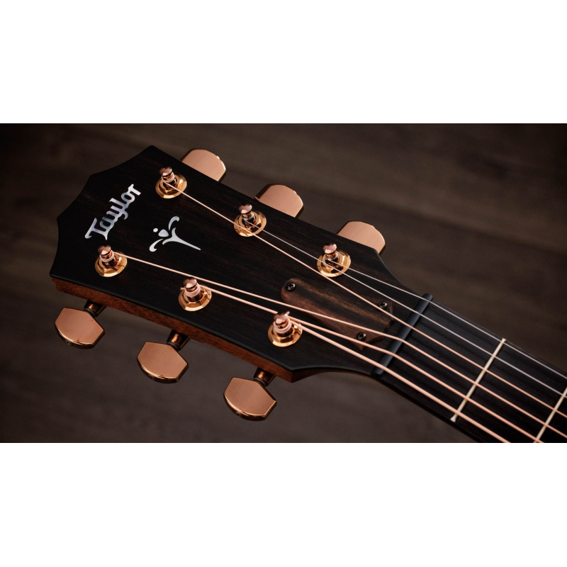 Taylor 722ce,Koa/Koa,Gloss