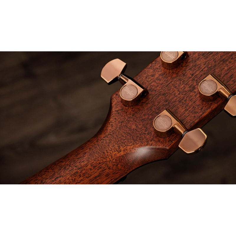 Taylor 722ce,Koa/Koa,Gloss