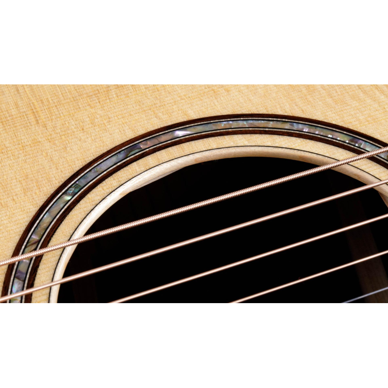 Taylor 812ce,Radius Armrest,V-Class(R)Bracing