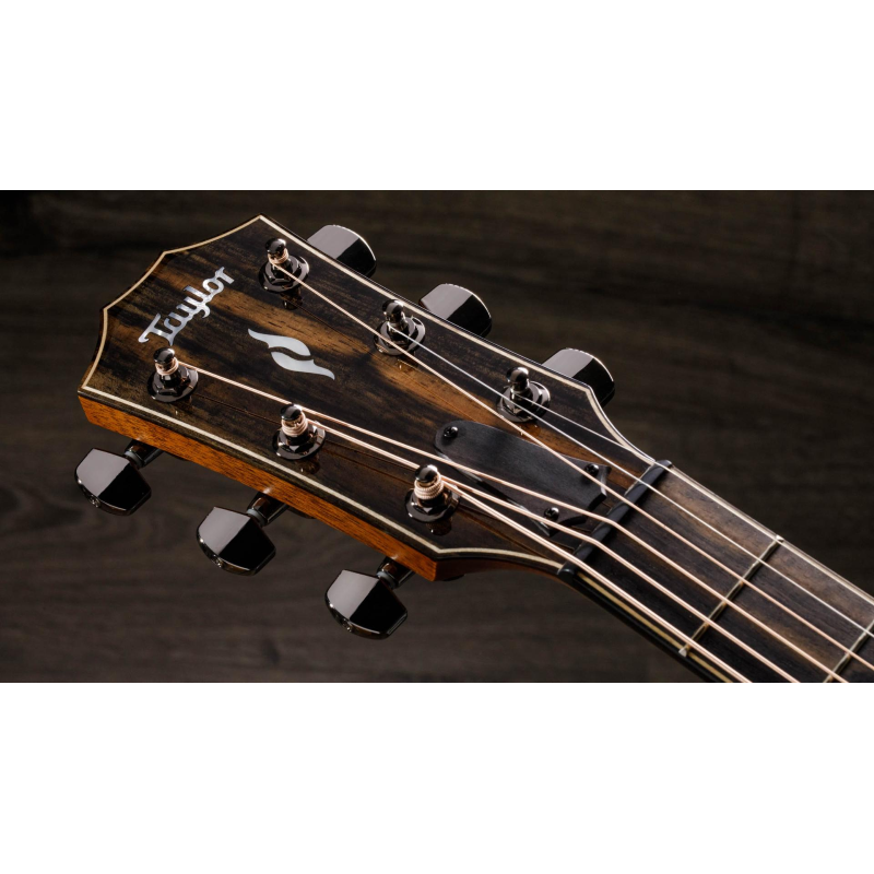 Taylor 812ce,Radius Armrest,V-Class(R)Bracing