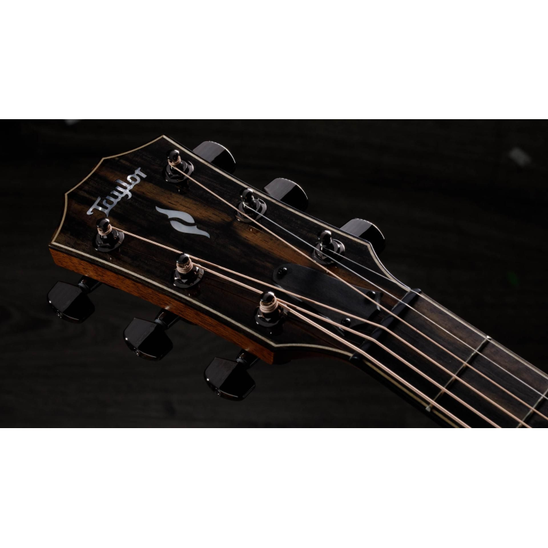 Taylor 812ce,Radius Armrest,V-Class(R)Bracing