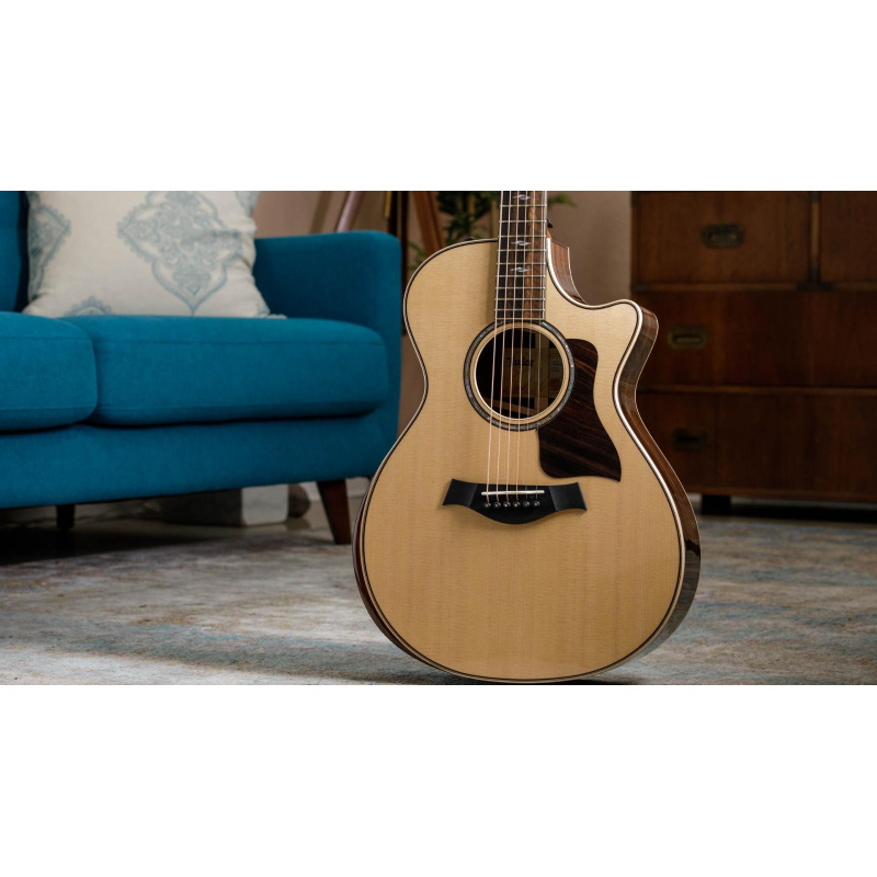 Taylor 812ce,Radius Armrest,V-Class(R)Bracing