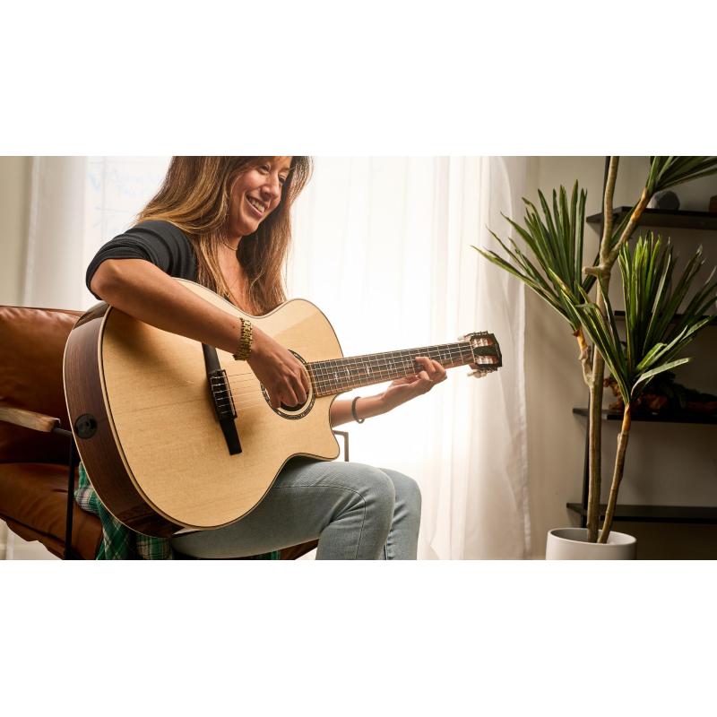 Taylor 812ce-N Sitka Rosewood  Grand Concert Corde Nylon