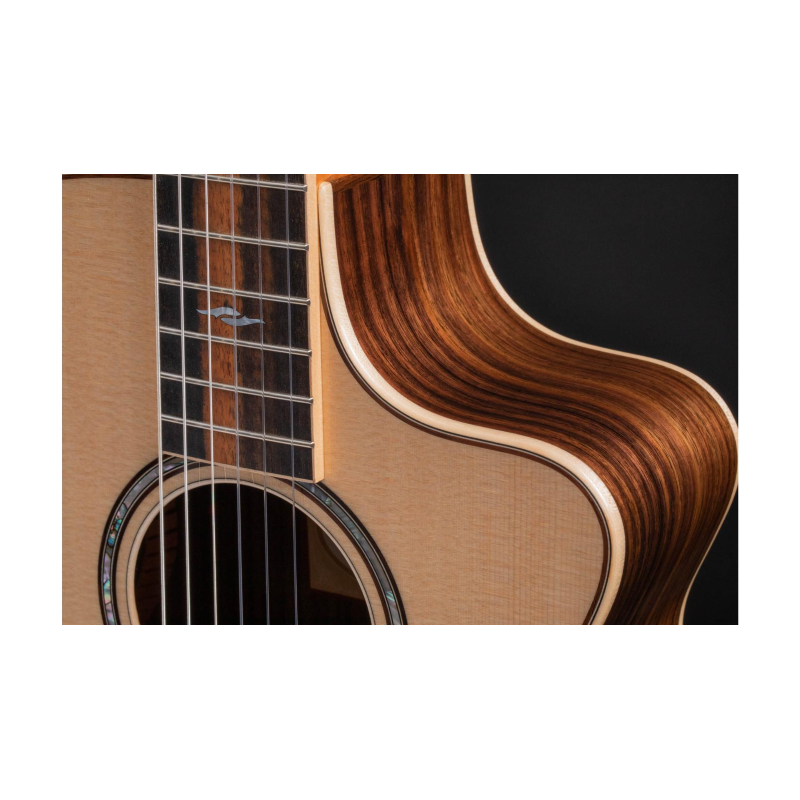 Taylor 812ce-N Sitka Rosewood  Grand Concert Corde Nylon