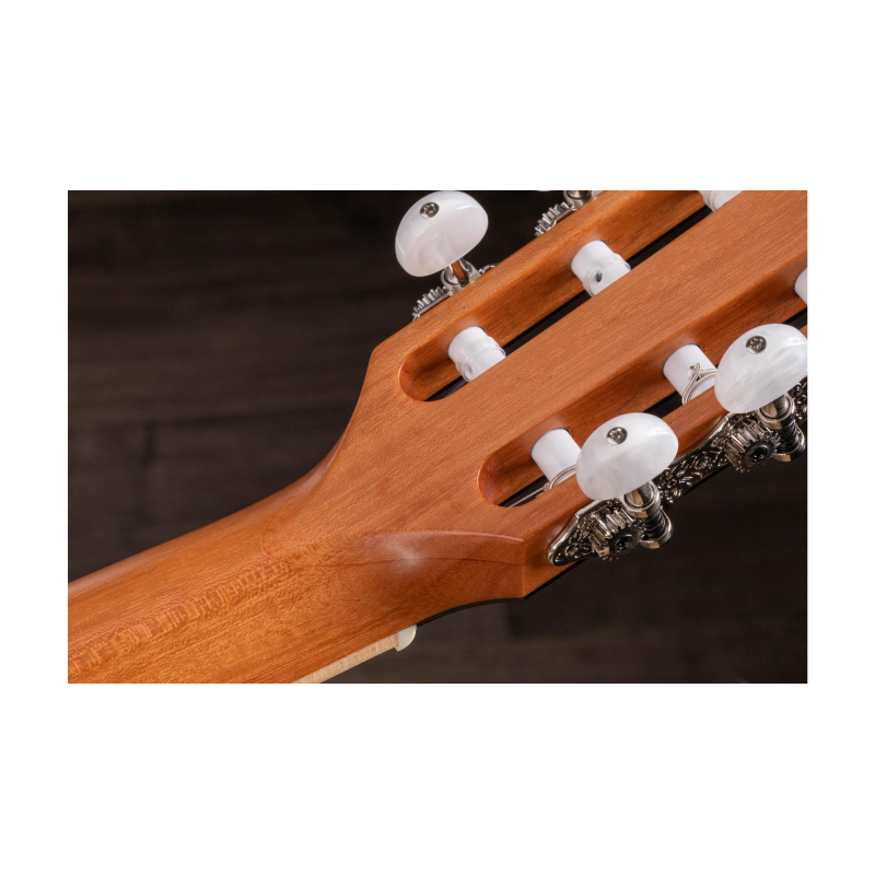 Taylor 812ce-N Sitka Rosewood  Grand Concert Corde Nylon