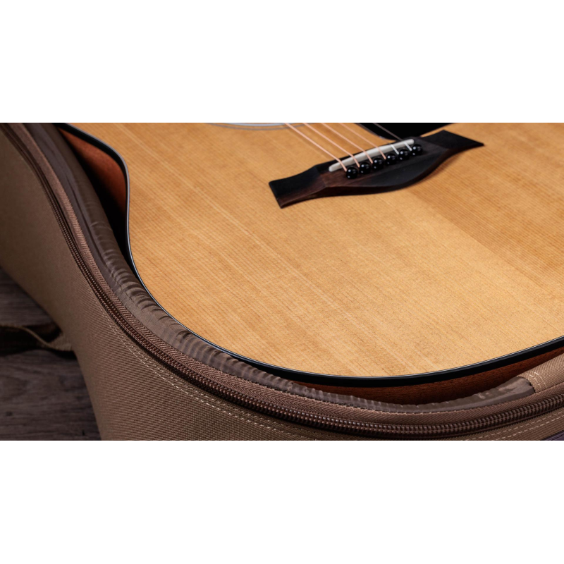 Taylor 117e,Sapele/Spruce dreadnought 