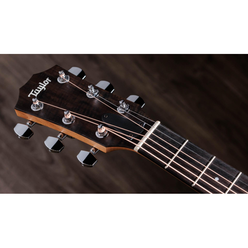 Taylor 117e,Sapele/Spruce dreadnought 