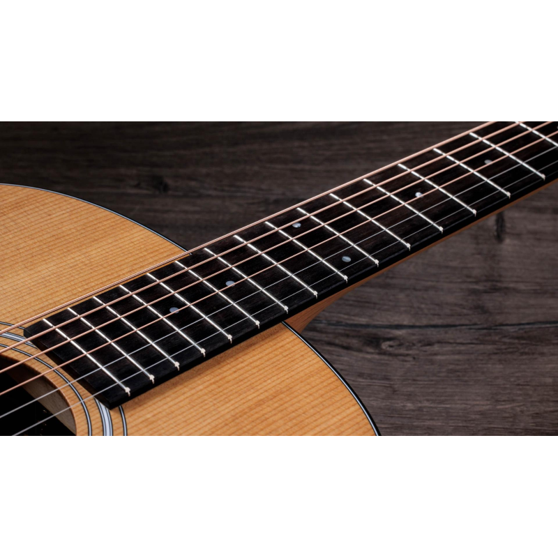Taylor 117e,Sapele/Spruce dreadnought 