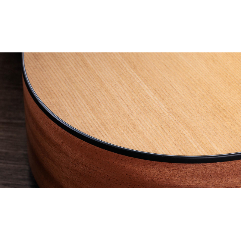 Taylor 117e,Sapele/Spruce dreadnought 