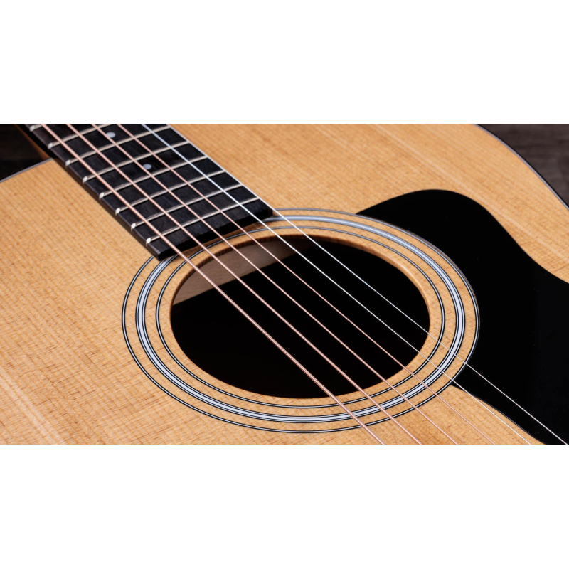 Taylor 117e,Sapele/Spruce dreadnought 