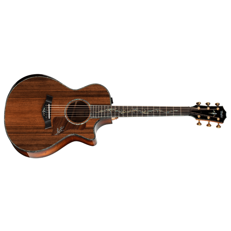 Taylor PS12ce Honduran Rosewood/Sinker Redwood, V-Class(R)Bracing