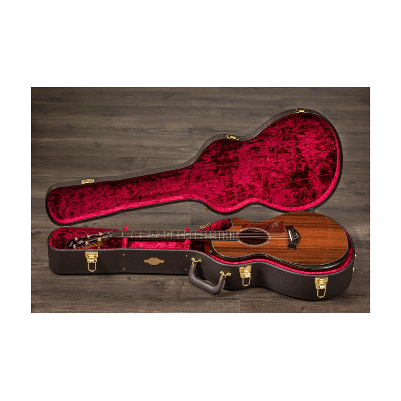 Taylor PS12ce Honduran Rosewood/Sinker Redwood, V-Class(R)Bracing