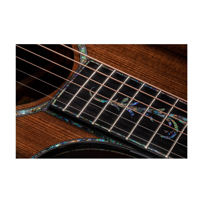 Taylor PS12ce Honduran Rosewood/Sinker Redwood, V-Class(R)Bracing