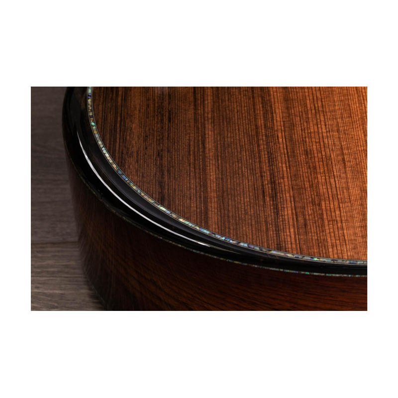 Taylor PS12ce Honduran Rosewood/Sinker Redwood, V-Class(R)Bracing