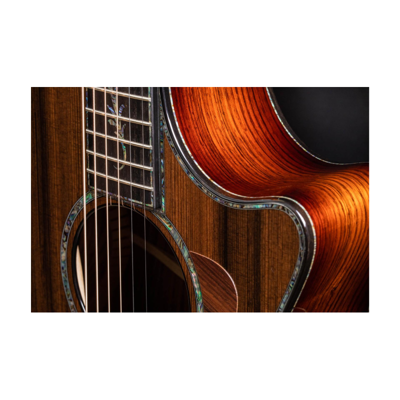 Taylor PS12ce Honduran Rosewood/Sinker Redwood, V-Class(R)Bracing