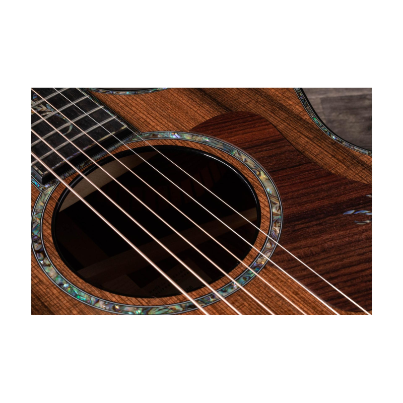 Taylor PS12ce Honduran Rosewood/Sinker Redwood, V-Class(R)Bracing