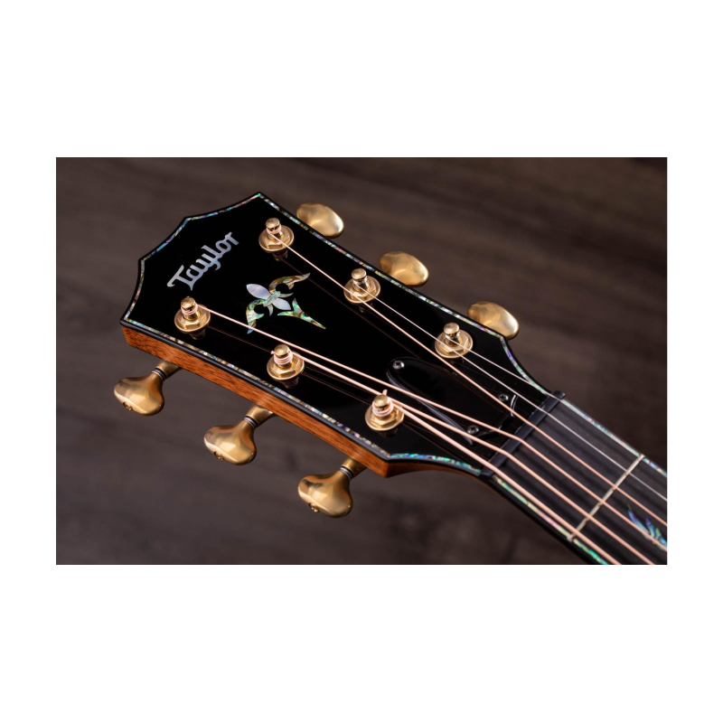 Taylor PS12ce Honduran Rosewood/Sinker Redwood, V-Class(R)Bracing