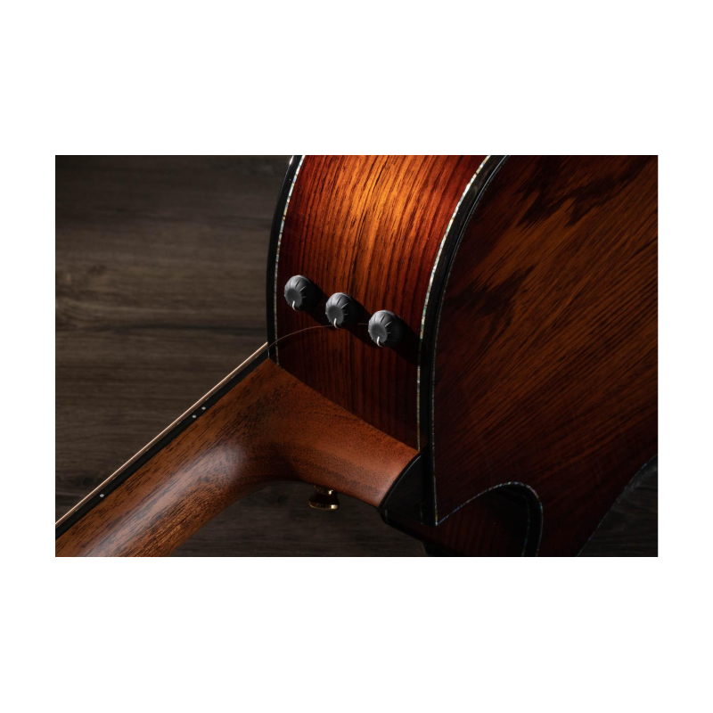 Taylor PS12ce Honduran Rosewood/Sinker Redwood, V-Class(R)Bracing