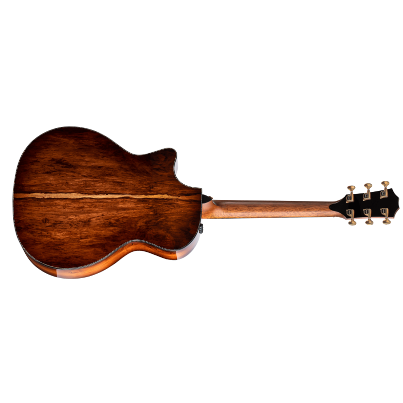 Taylor PS14ce,Honduran Rosewood/Sinker Redwood, V-Class Bracing Grand Auditorium