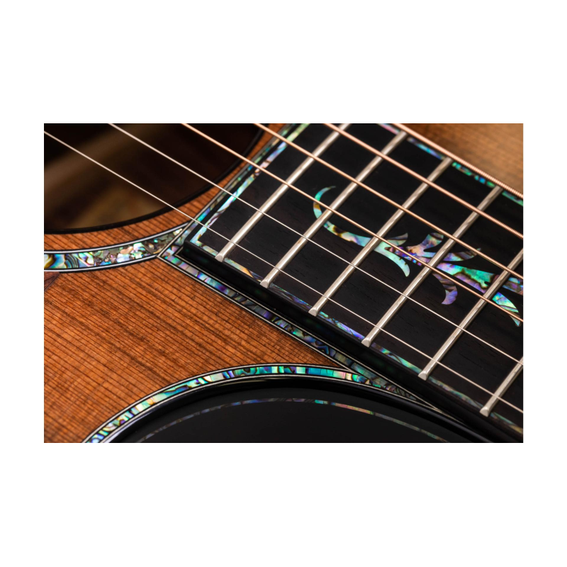 Taylor PS14ce,Honduran Rosewood/Sinker Redwood, V-Class Bracing Grand Auditorium