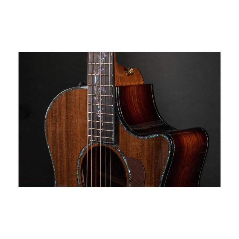 Taylor PS14ce,Honduran Rosewood/Sinker Redwood, V-Class Bracing Grand Auditorium