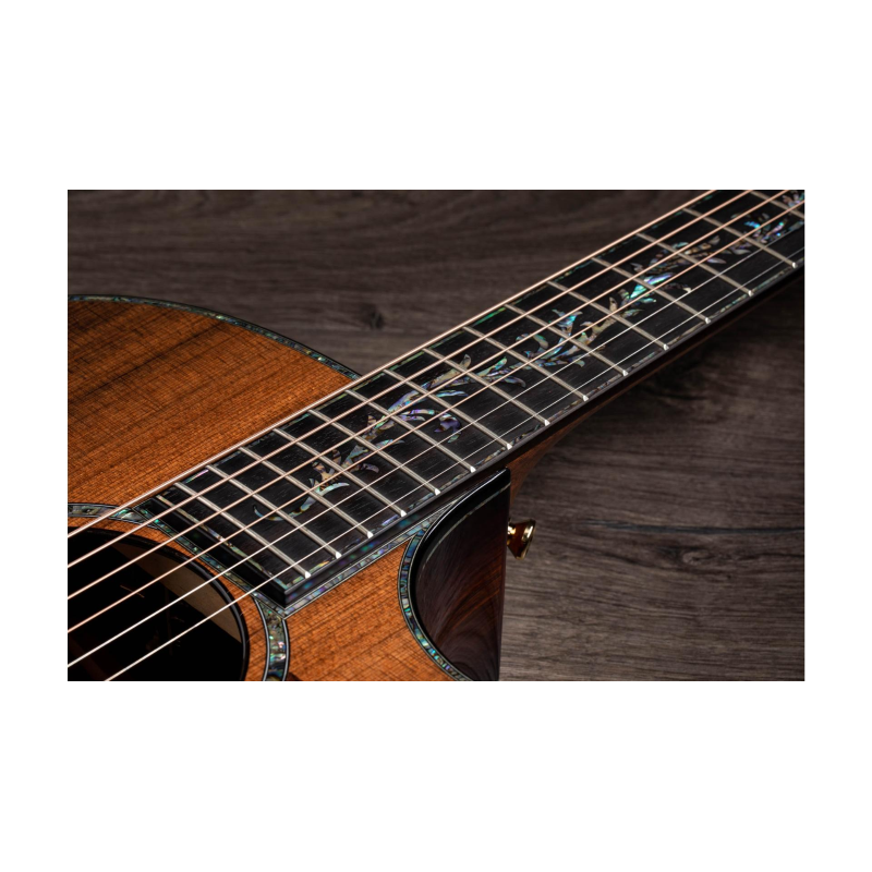 Taylor PS14ce,Honduran Rosewood/Sinker Redwood, V-Class Bracing Grand Auditorium