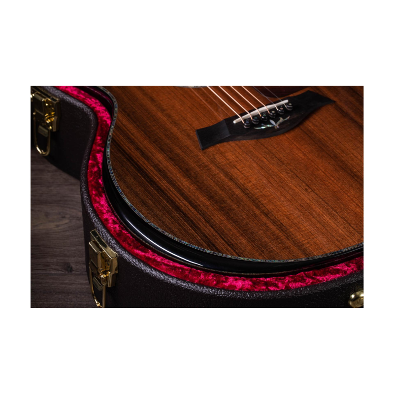 Taylor PS14ce,Honduran Rosewood/Sinker Redwood, V-Class Bracing Grand Auditorium