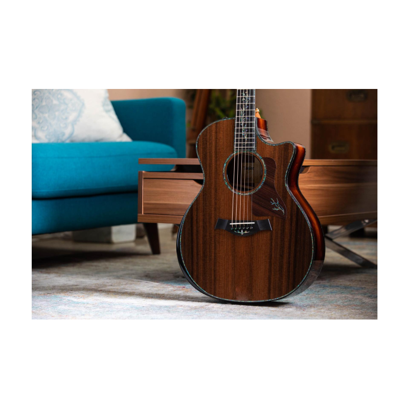 Taylor PS14ce,Honduran Rosewood/Sinker Redwood, V-Class Bracing Grand Auditorium