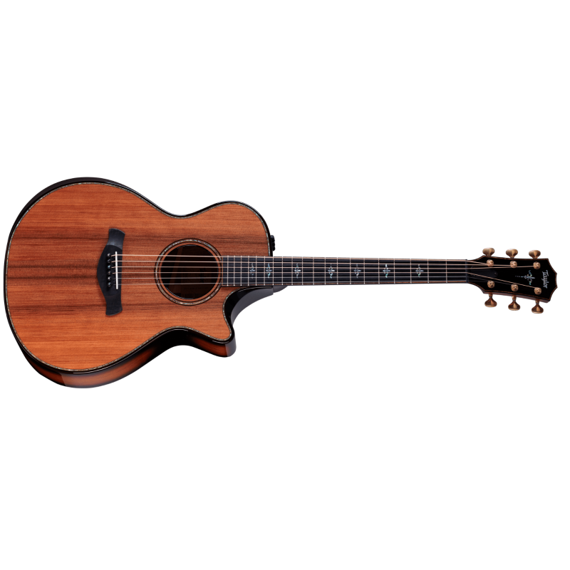 Taylor Builder's Edition 912ce,Hon. RW/Sinker Redwood
