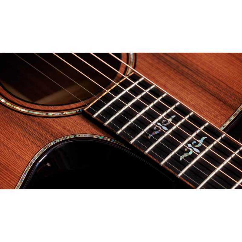 Taylor Builder's Edition 912ce,Hon. RW/Sinker Redwood