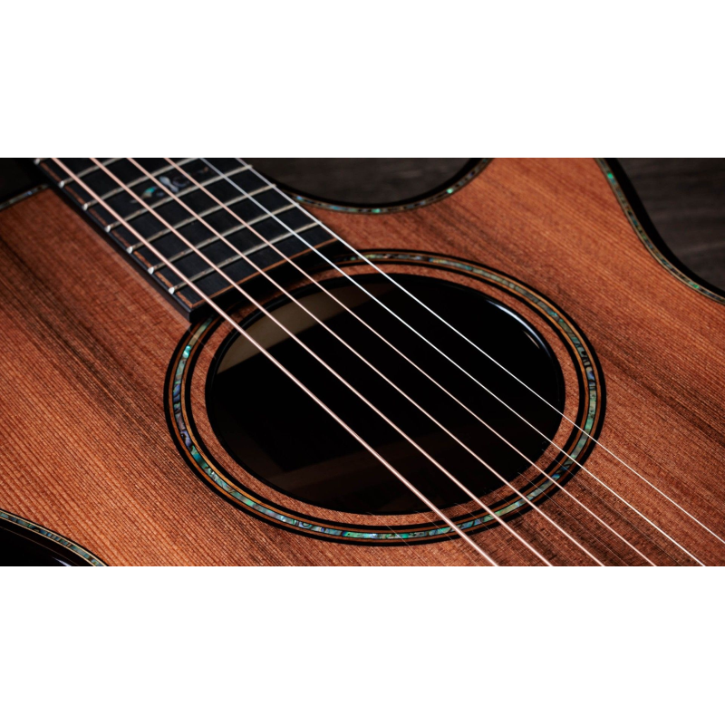 Taylor Builder's Edition 912ce,Hon. RW/Sinker Redwood