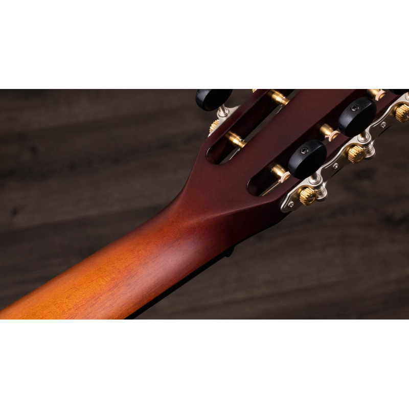 Taylor K22ce 12-Fret,V-Class Bracing Grand Concert 