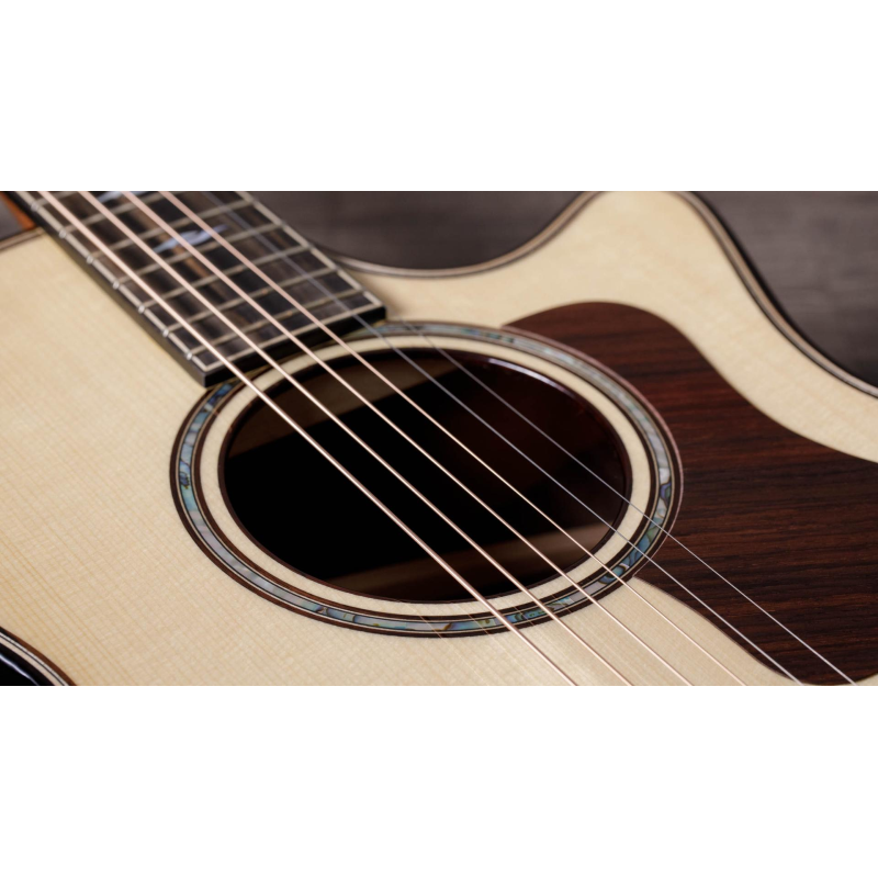Taylor Builder's Edition 814ce Rosewood/Adirondack Grand Auditorium