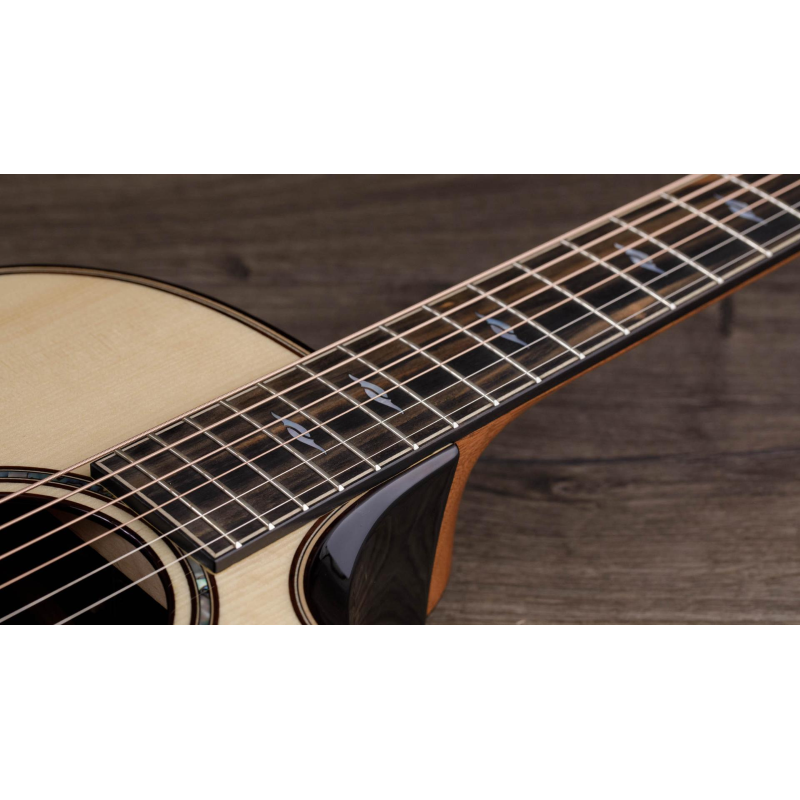 Taylor Builder's Edition 814ce Rosewood/Adirondack Grand Auditorium