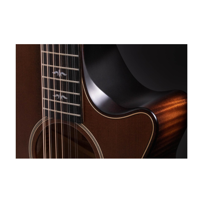 Taylor Builder's Edition 652ce WHB V-Class Bracing