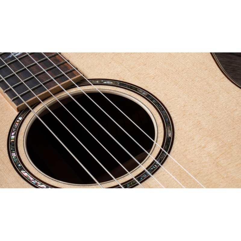 Taylor 814ce-N Nylon Grand Auditorium