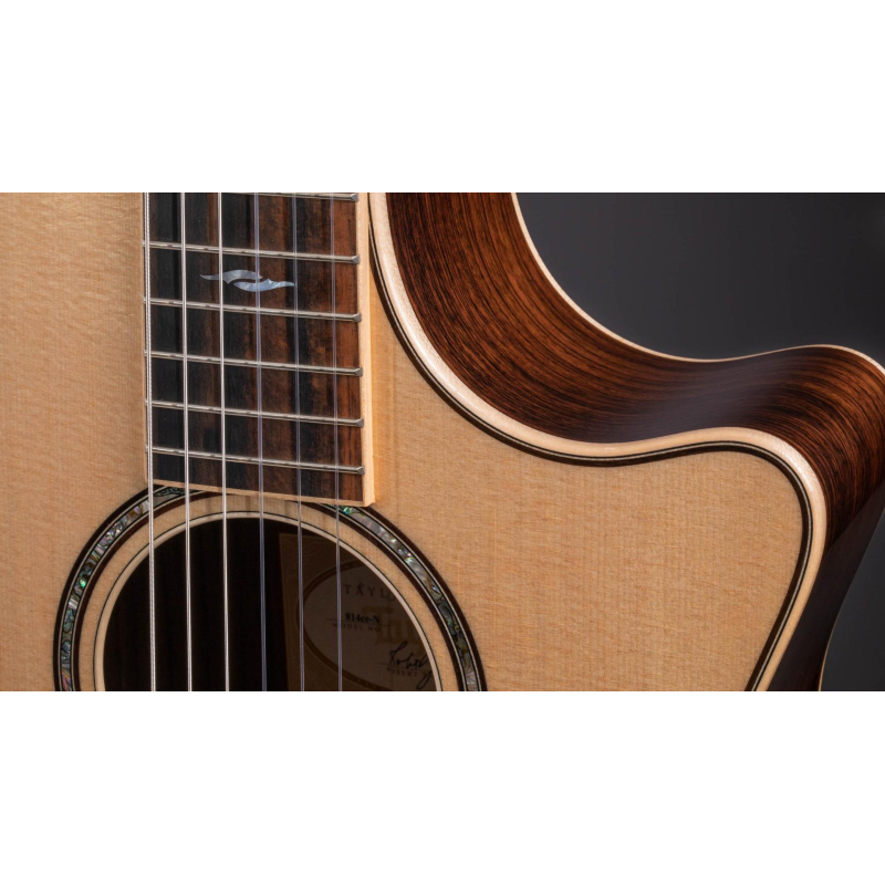 Taylor 814ce-N Nylon Grand Auditorium