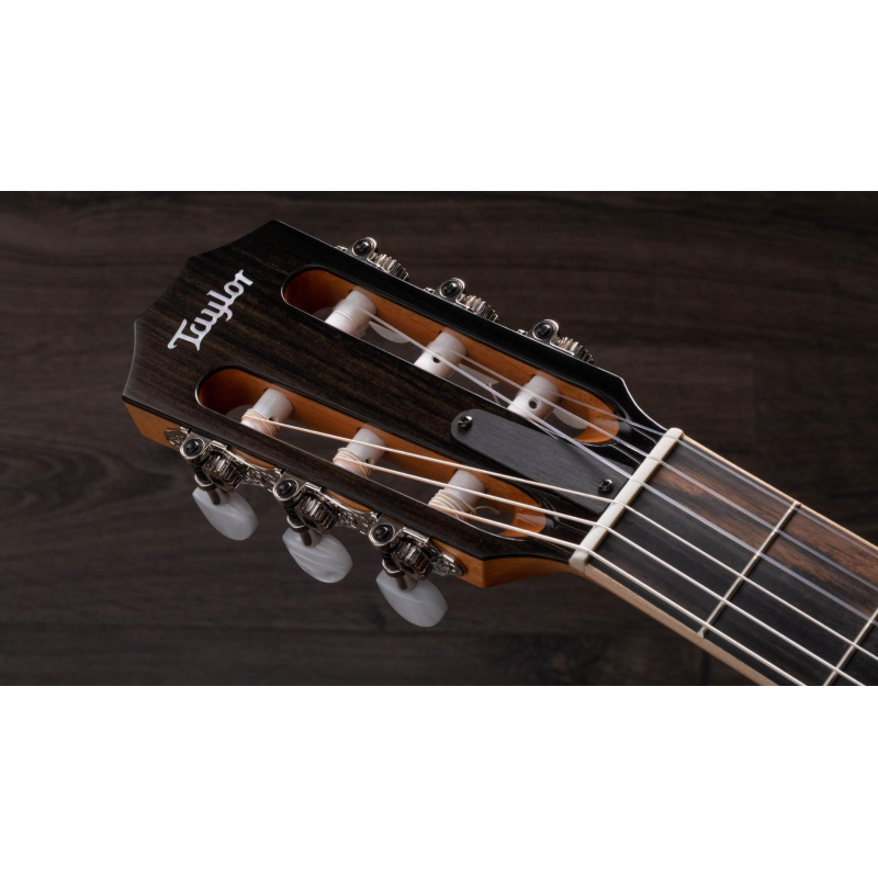 Taylor 814ce-N Nylon Grand Auditorium