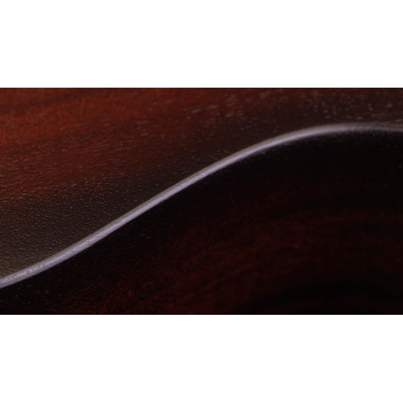 Taylor AD24ce Sapele/MahoganySEB Grand Auditorium 