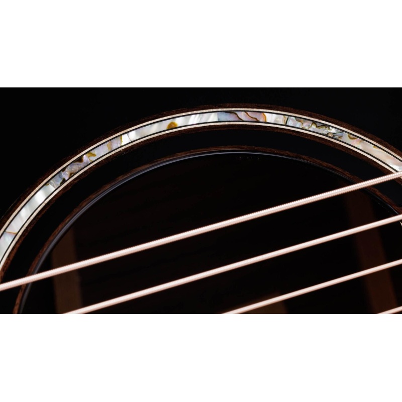 Taylor 814ce V-Class Builder's Edition Blacktop Grand Auditorium