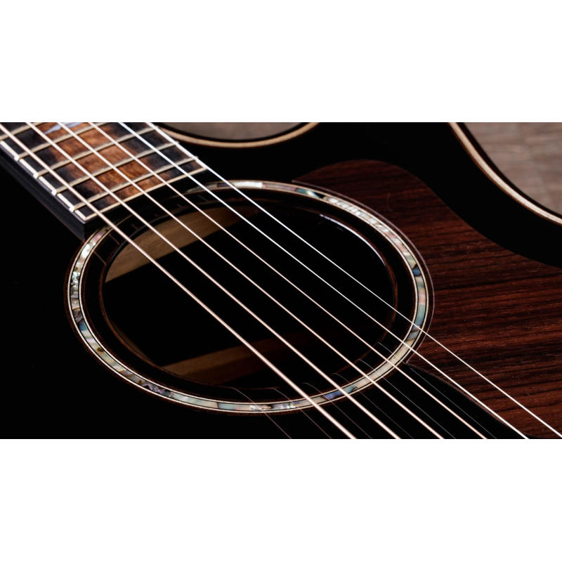 Taylor 814ce V-Class Builder's Edition Blacktop Grand Auditorium