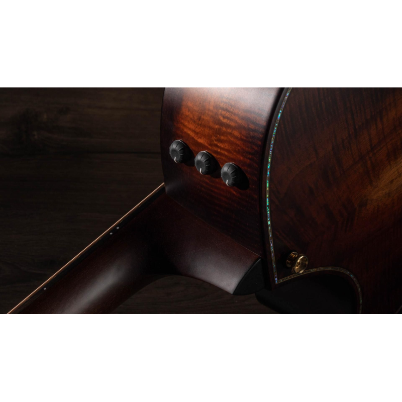 Taylor Builder's Edition K24ce Grand Auditorium