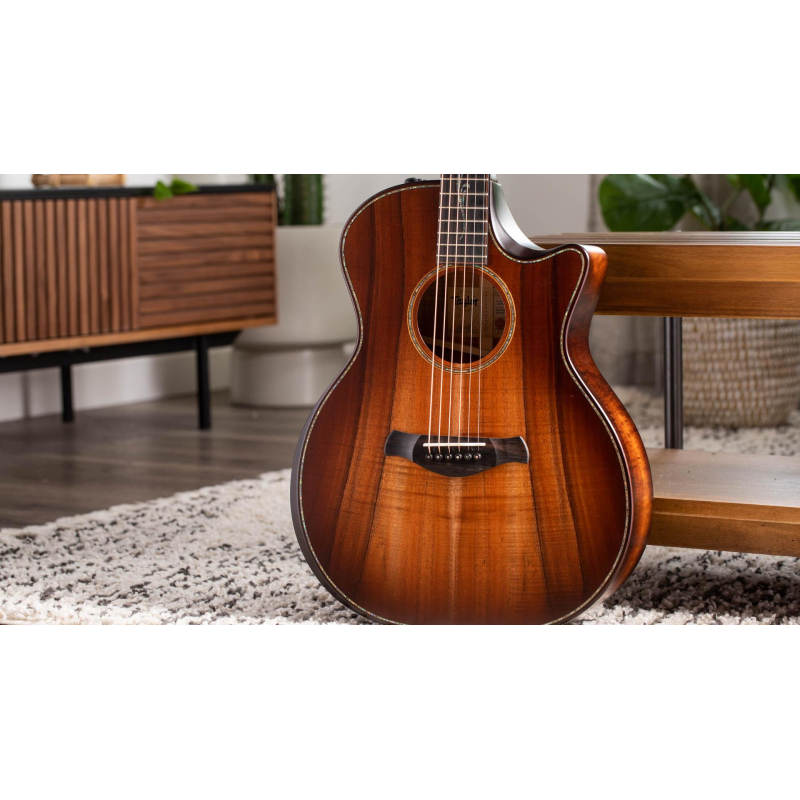 Taylor Builder's Edition K24ce Grand Auditorium