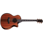 Taylor Builder's Edition 914ce Sinker Redwood top, Honduran RW