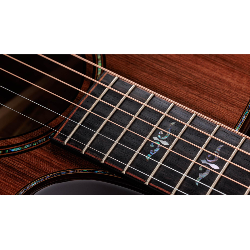 Taylor Builder's Edition 914ce Sinker Redwood top, Honduran RW