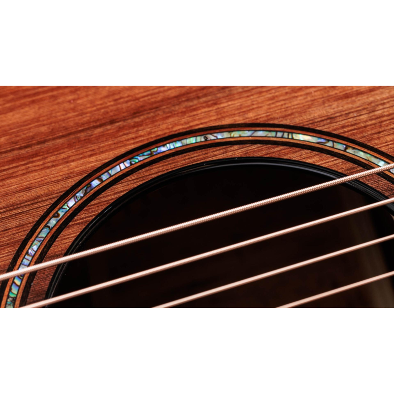 Taylor Builder's Edition 914ce Sinker Redwood top, Honduran RW