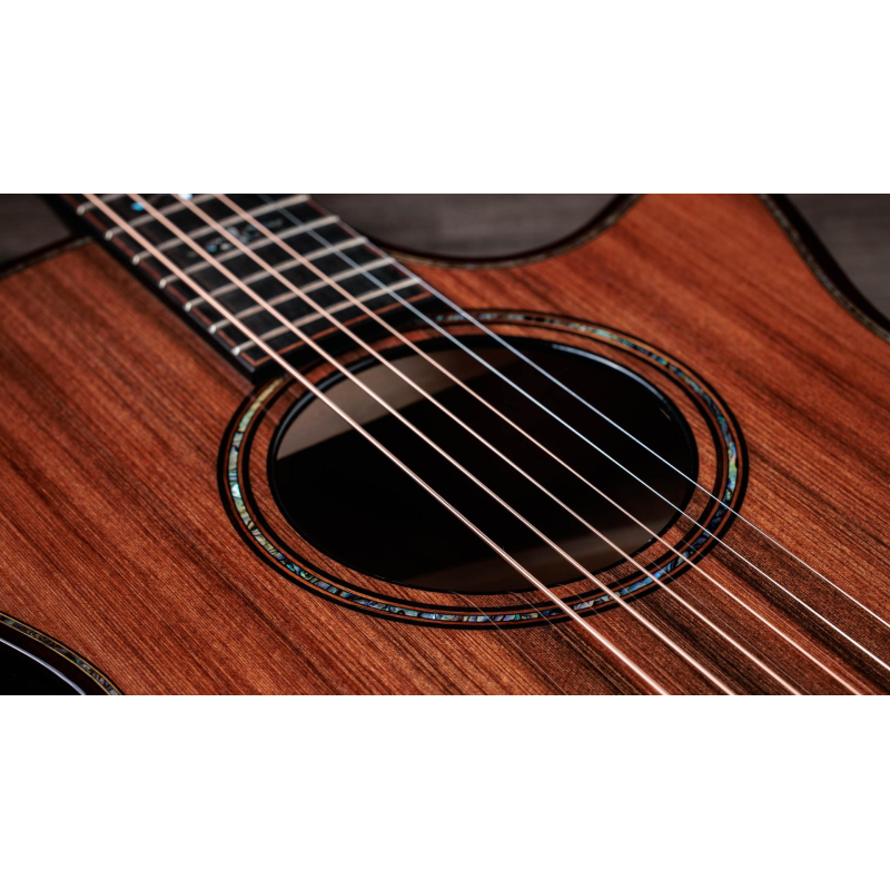 Taylor Builder's Edition 914ce Sinker Redwood top, Honduran RW
