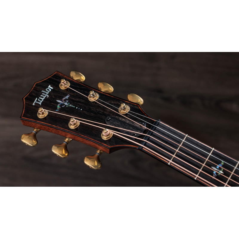 Taylor Builder's Edition 914ce Sinker Redwood top, Honduran RW